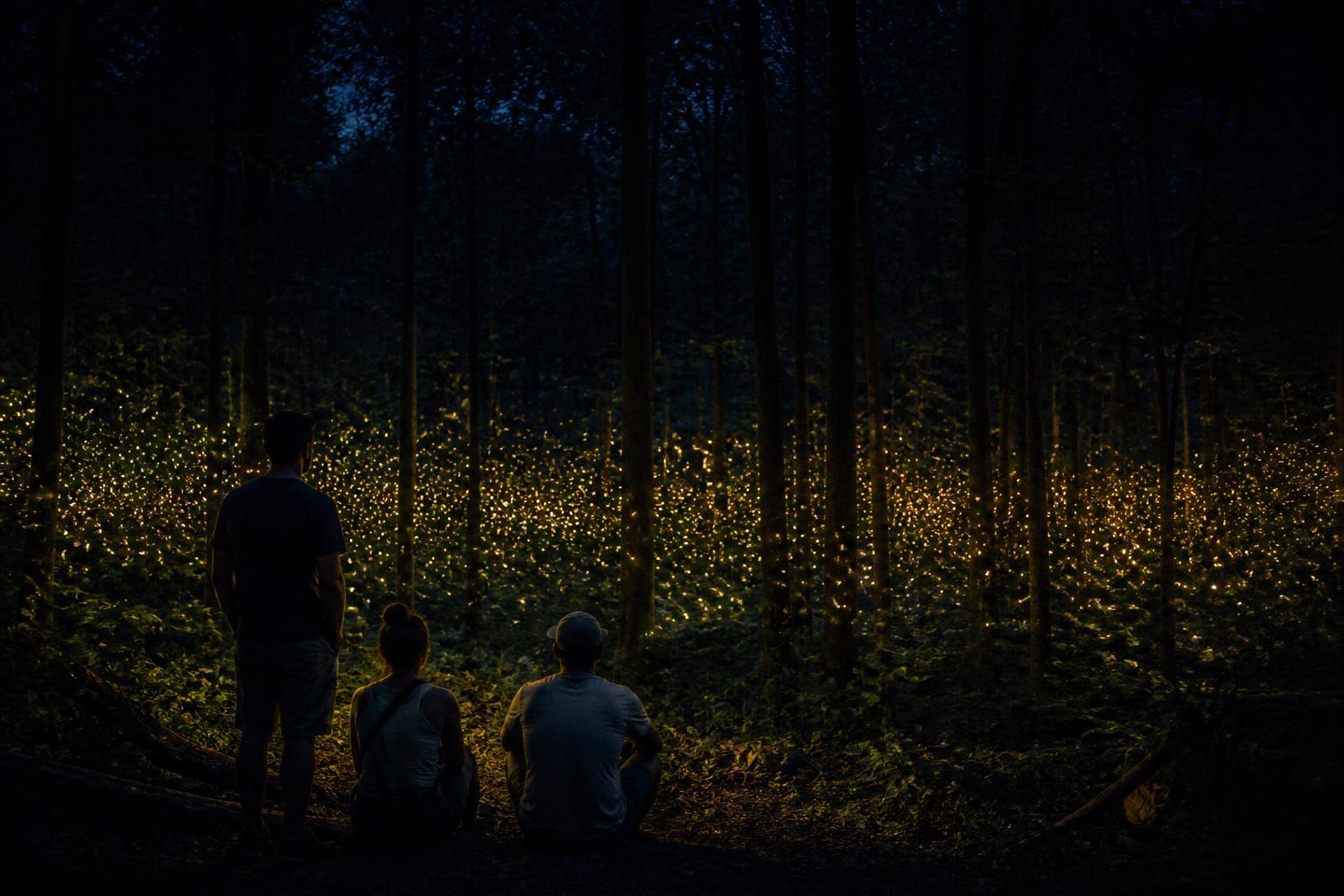 Bosque oscuro de los montes Apalaches de noche con cientos de puntos de luz dorada de luciérnagas sincronizados entre los árboles y dos viajeros en silueta mirando el espectáculo